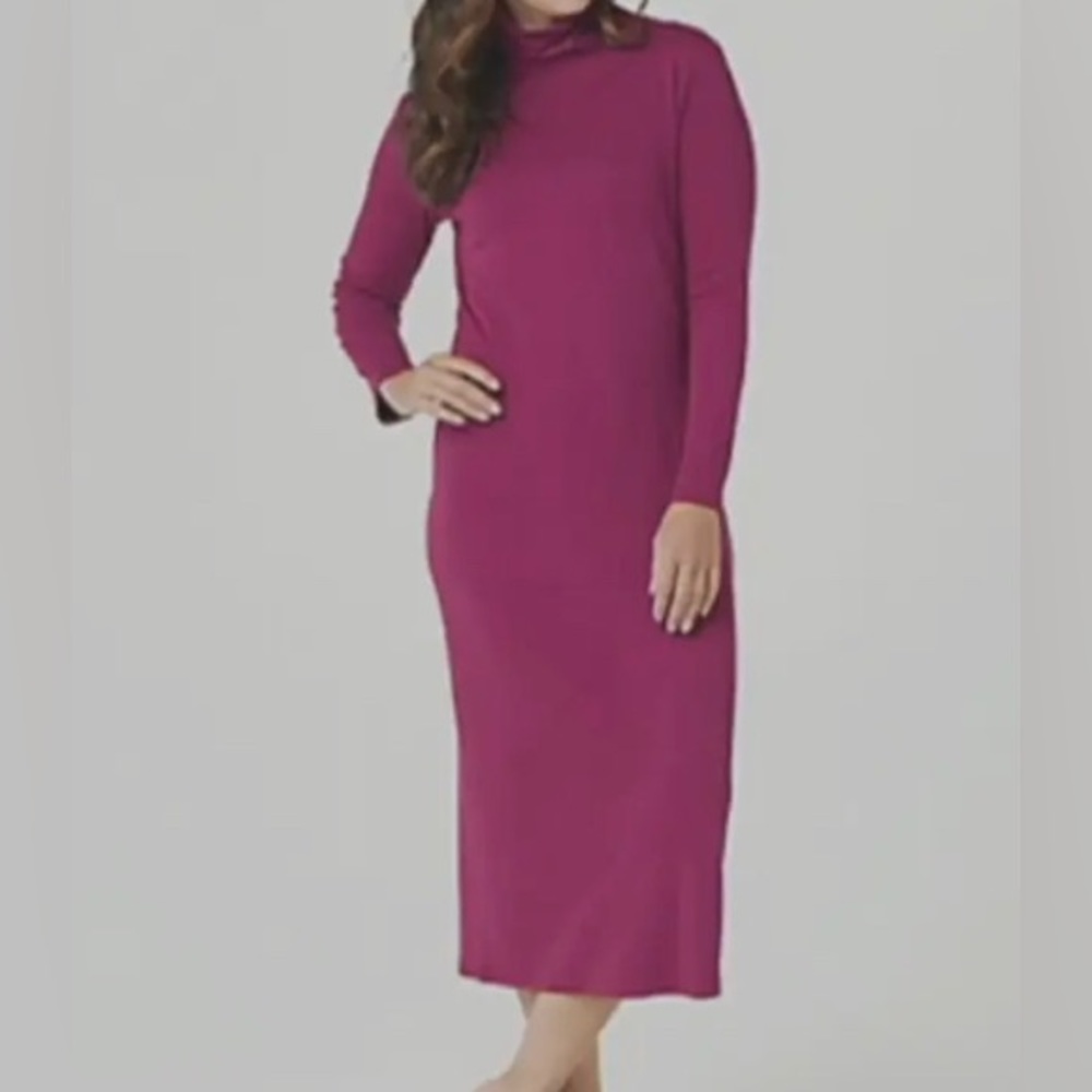 NWT Attitudes By Renee Turtleneck Jersey Knit Dress Plum Plus Size 2XP